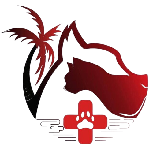 icon-removebg-preview-1-1-1.png icon-removebg-preview-1-1-1.png